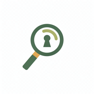 LA MANCHA INVESTIGATIONS